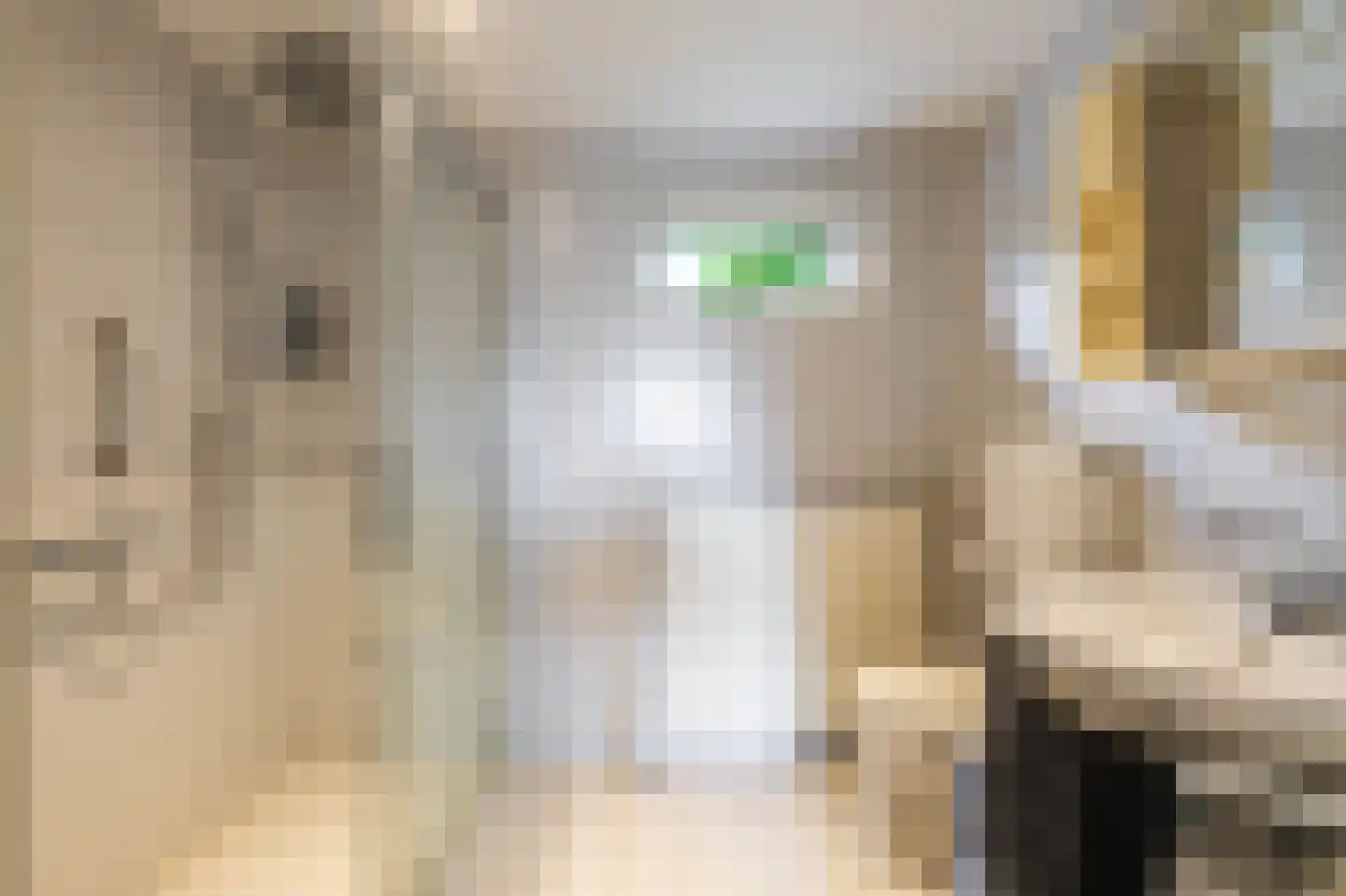 Van Trojenweg 3 Haren Gn thumbnail 26