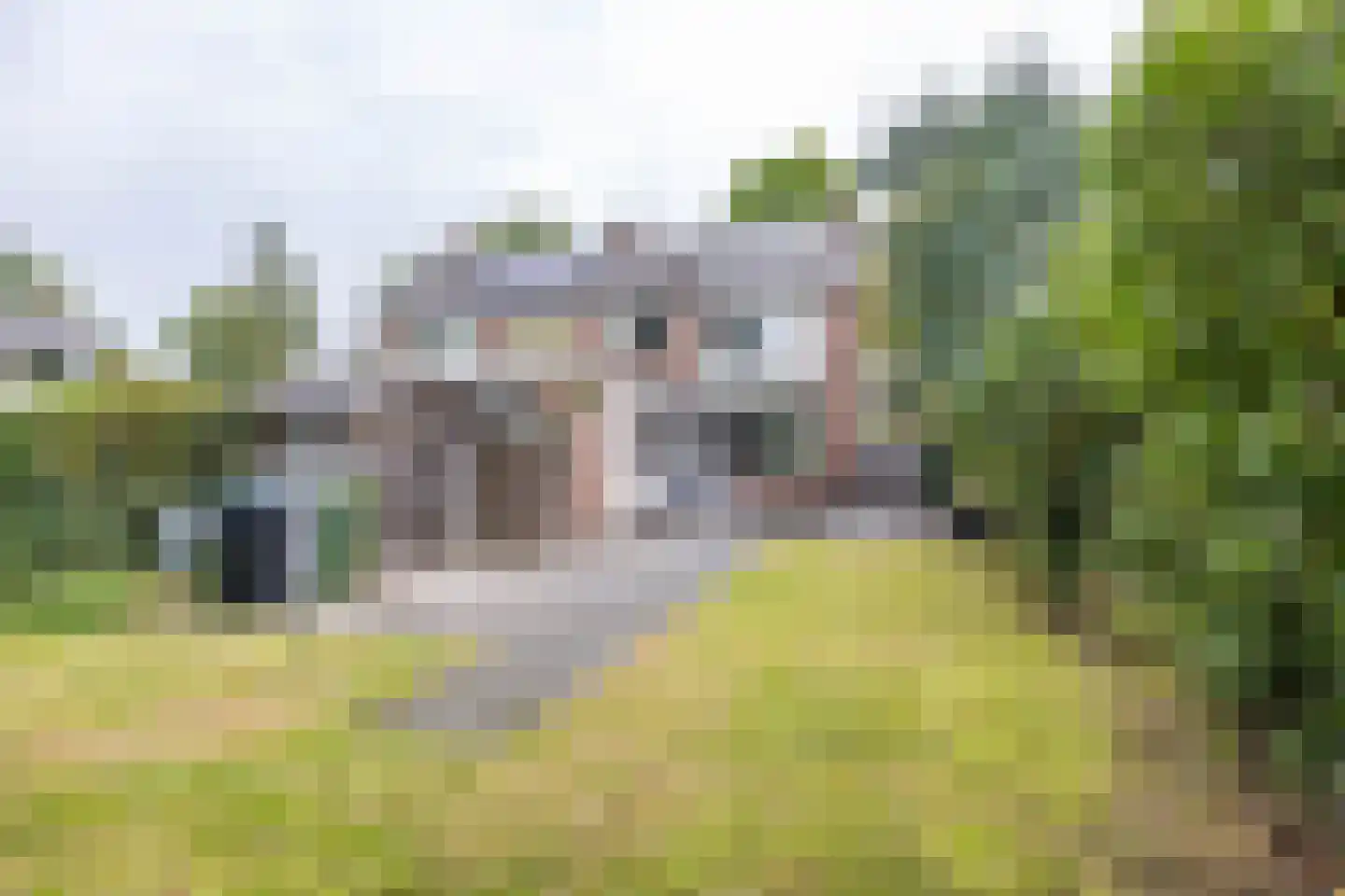 Van Trojenweg 3 Haren Gn thumbnail 32