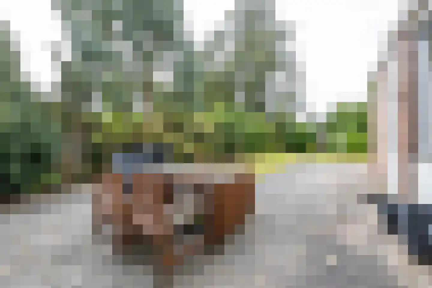 Van Trojenweg 3 Haren Gn thumbnail 35