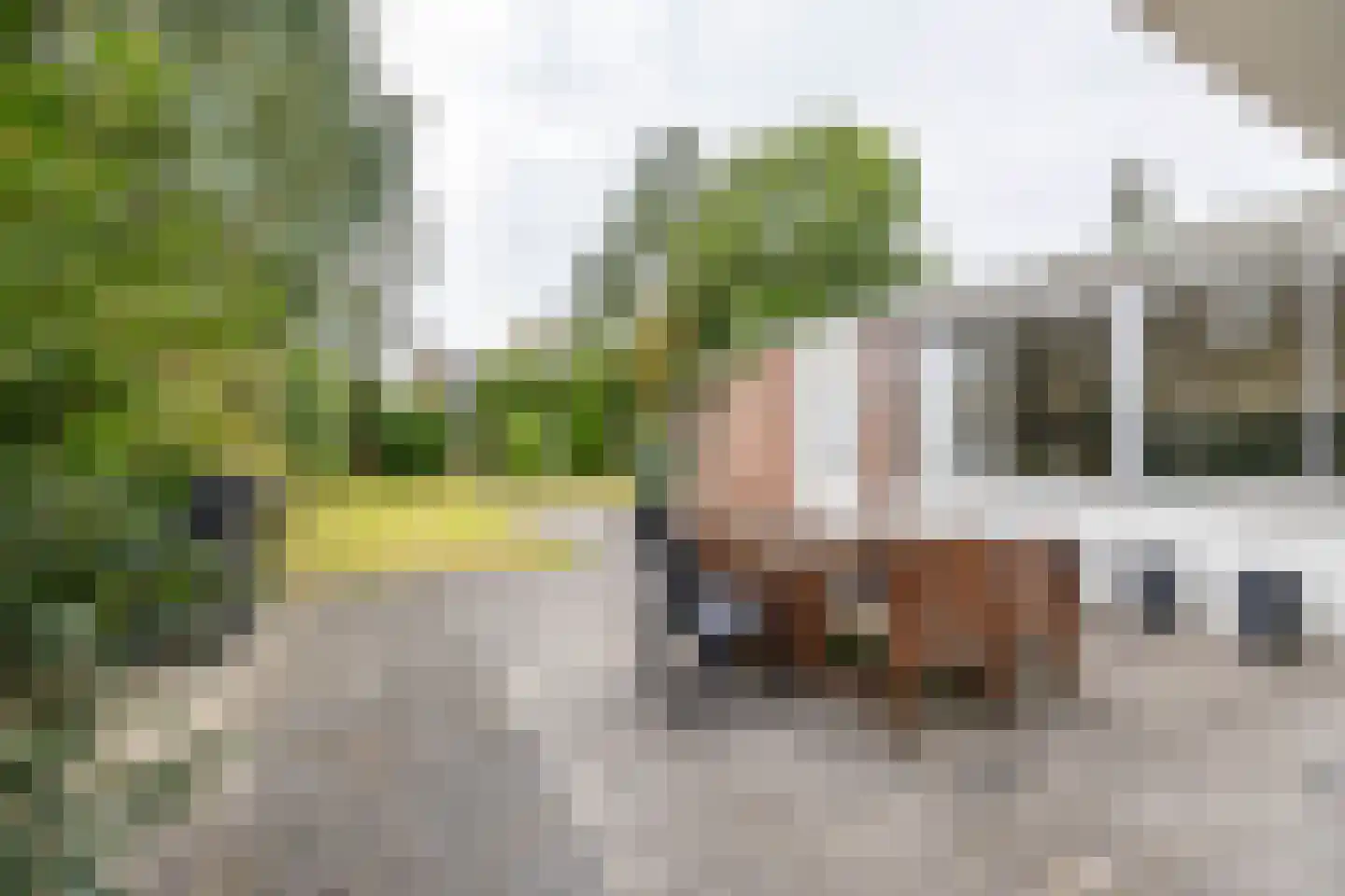 Van Trojenweg 3 Haren Gn thumbnail 36