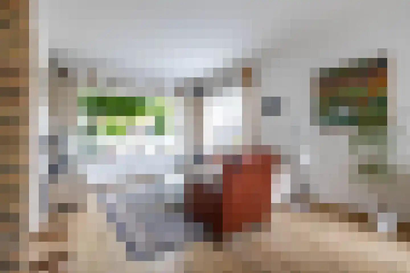 Van Trojenweg 3 Haren Gn thumbnail 8
