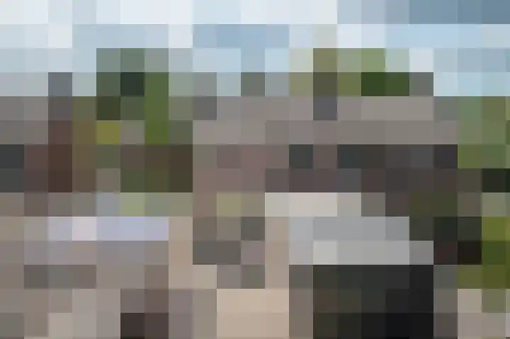 Van Trojenweg 4 Haren Gn thumbnail 34