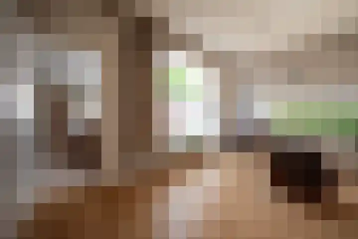 Van Trojenweg 4 Haren Gn thumbnail 4