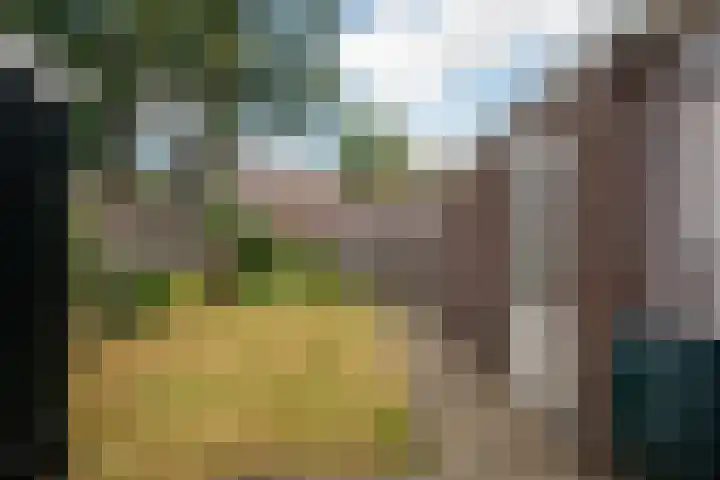 Van Trojenweg 4 Haren Gn thumbnail 41