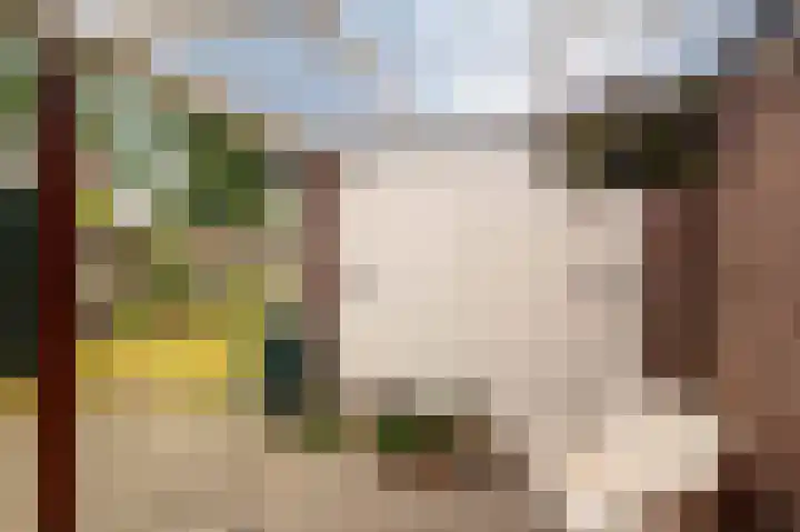 Van Trojenweg 4 Haren Gn thumbnail 43