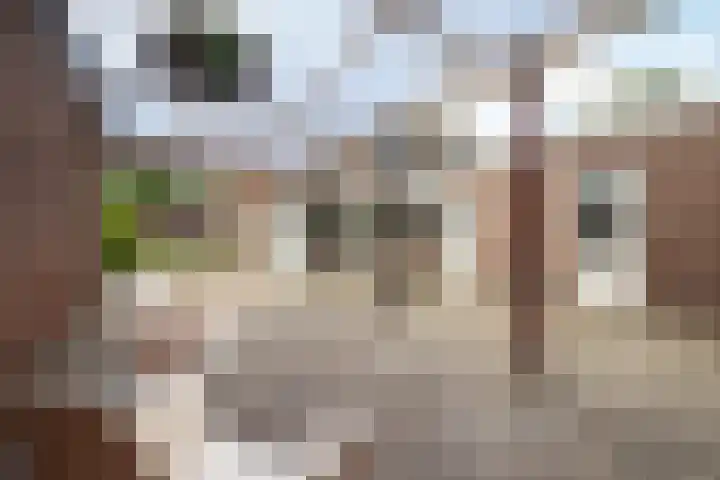 Van Trojenweg 4 Haren Gn thumbnail 5