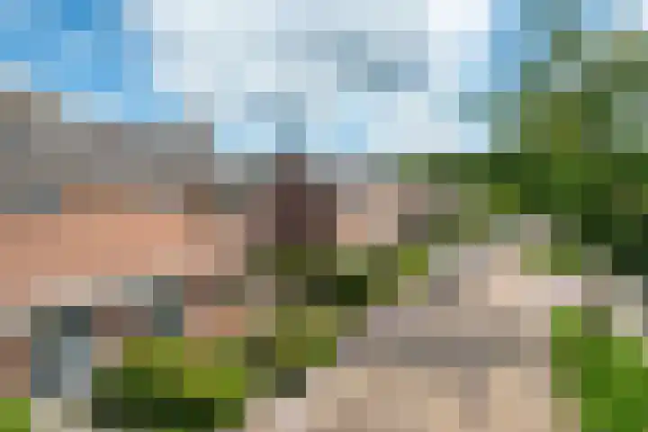 Van Trojenweg 4 Haren Gn thumbnail 7