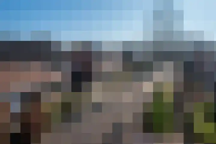 Van Trojenweg 8 Haren Gn thumbnail 6