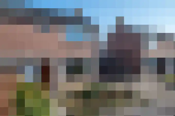 Van Trojenweg 8 Haren Gn thumbnail 7
