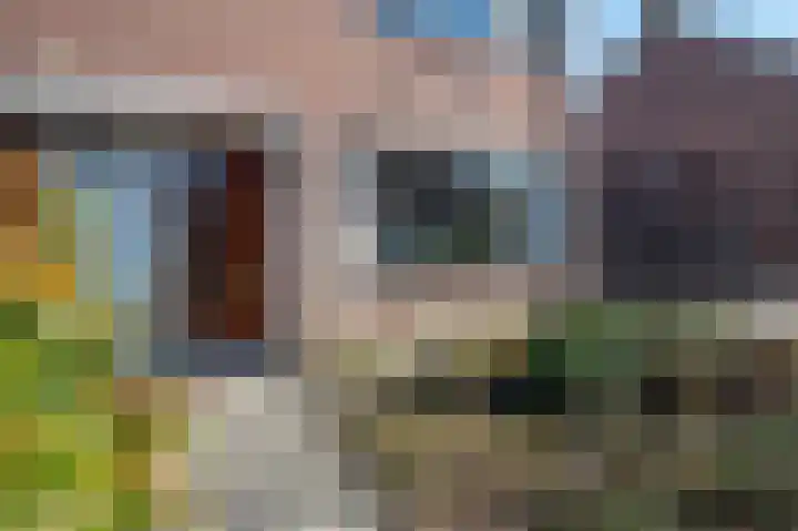 Van Trojenweg 8 Haren Gn thumbnail 9