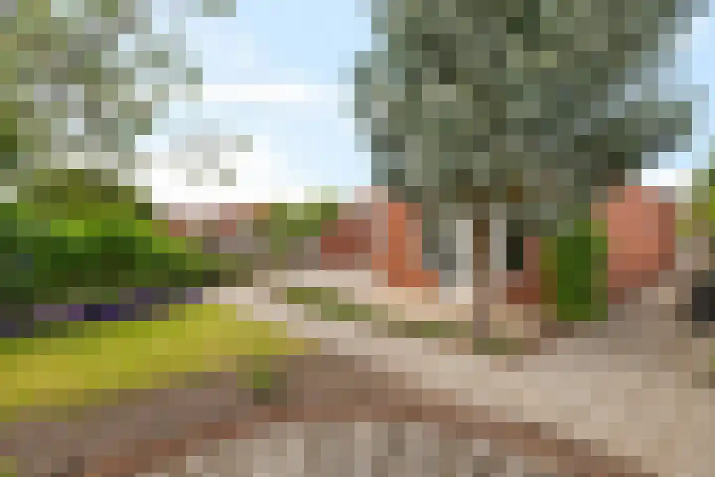 Van Tuellstraat 14 Hardenberg thumbnail 33