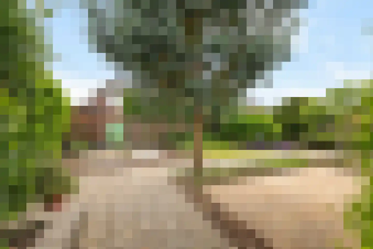Van Tuellstraat 14 Hardenberg thumbnail 35