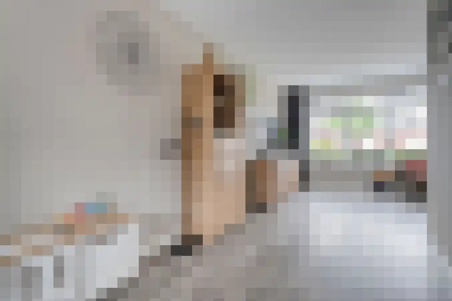Van Tuellstraat 9 Hardenberg thumbnail 10
