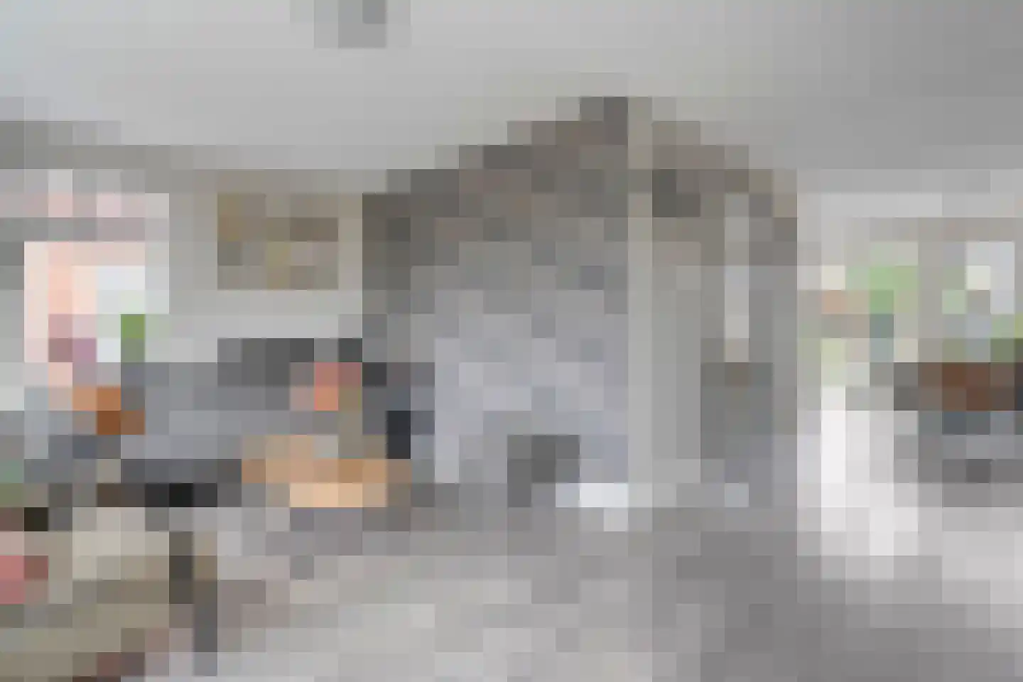 Van Tuellstraat 9 Hardenberg thumbnail 12