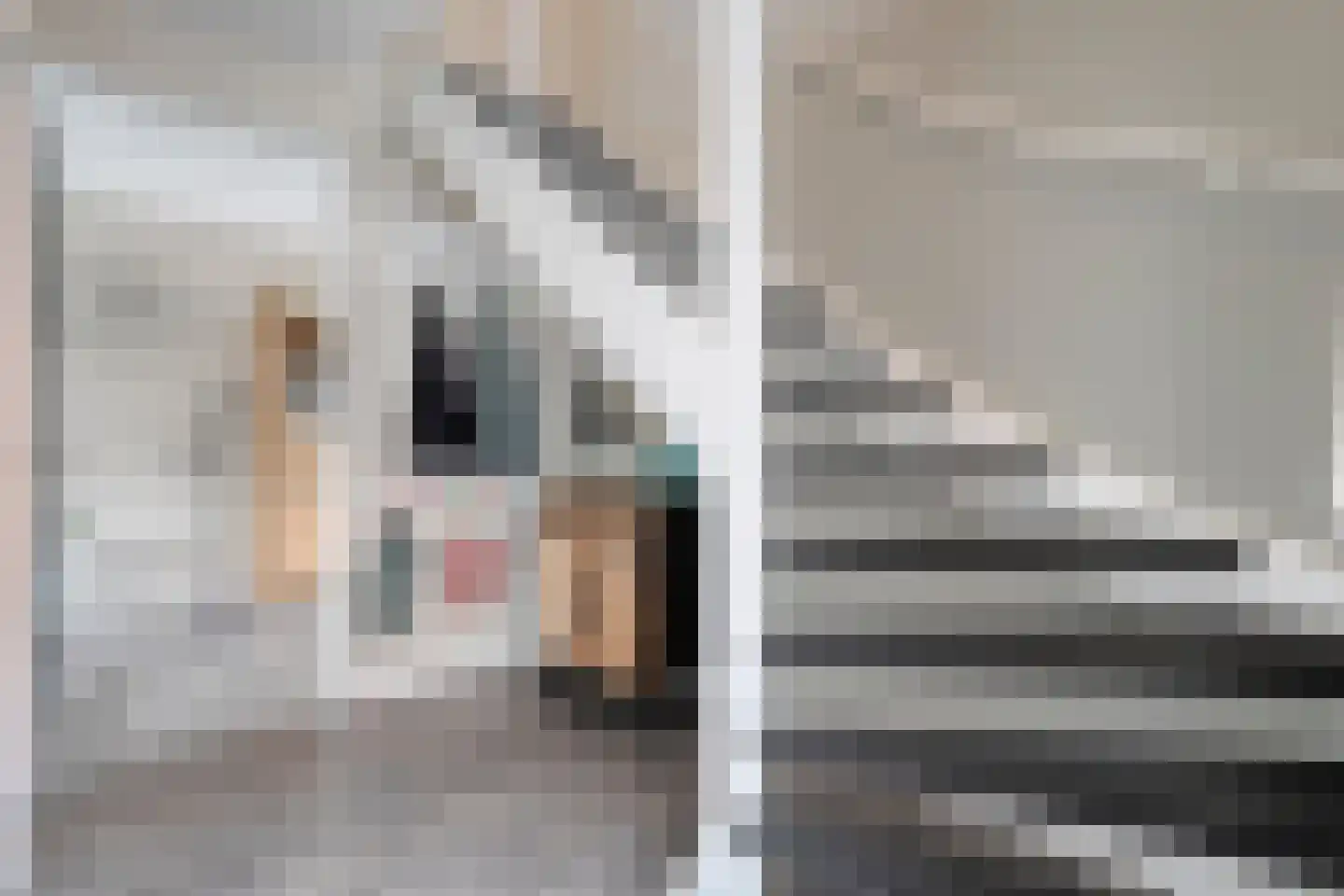 Van Tuellstraat 9 Hardenberg thumbnail 8