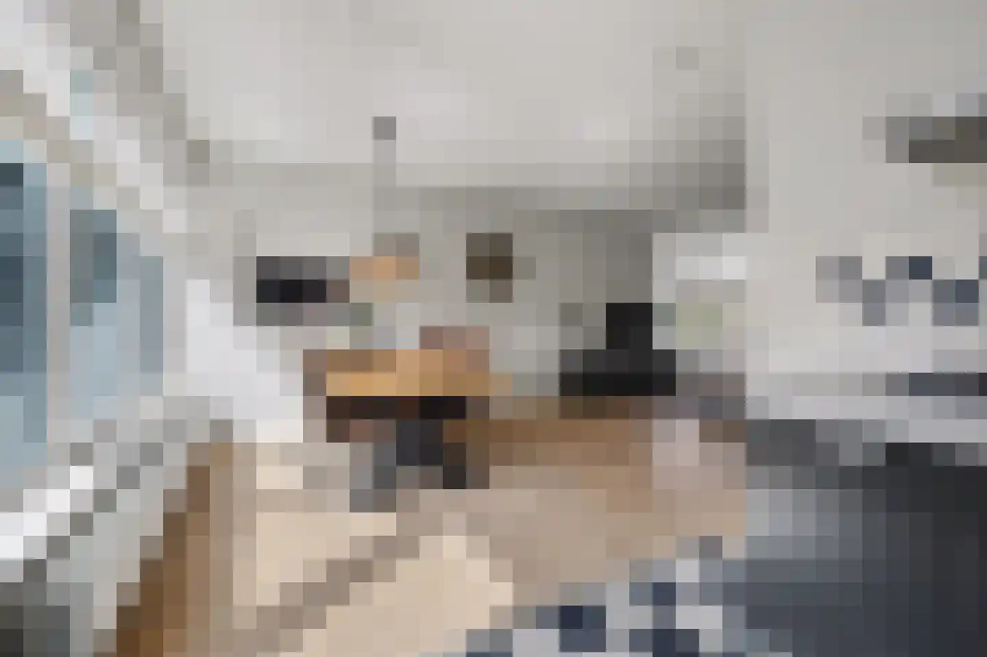Van Tuijlhof 8 Duizel thumbnail 12