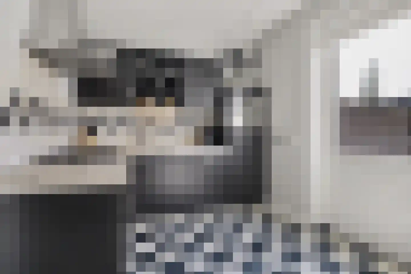 Van Tuijlhof 8 Duizel thumbnail 15