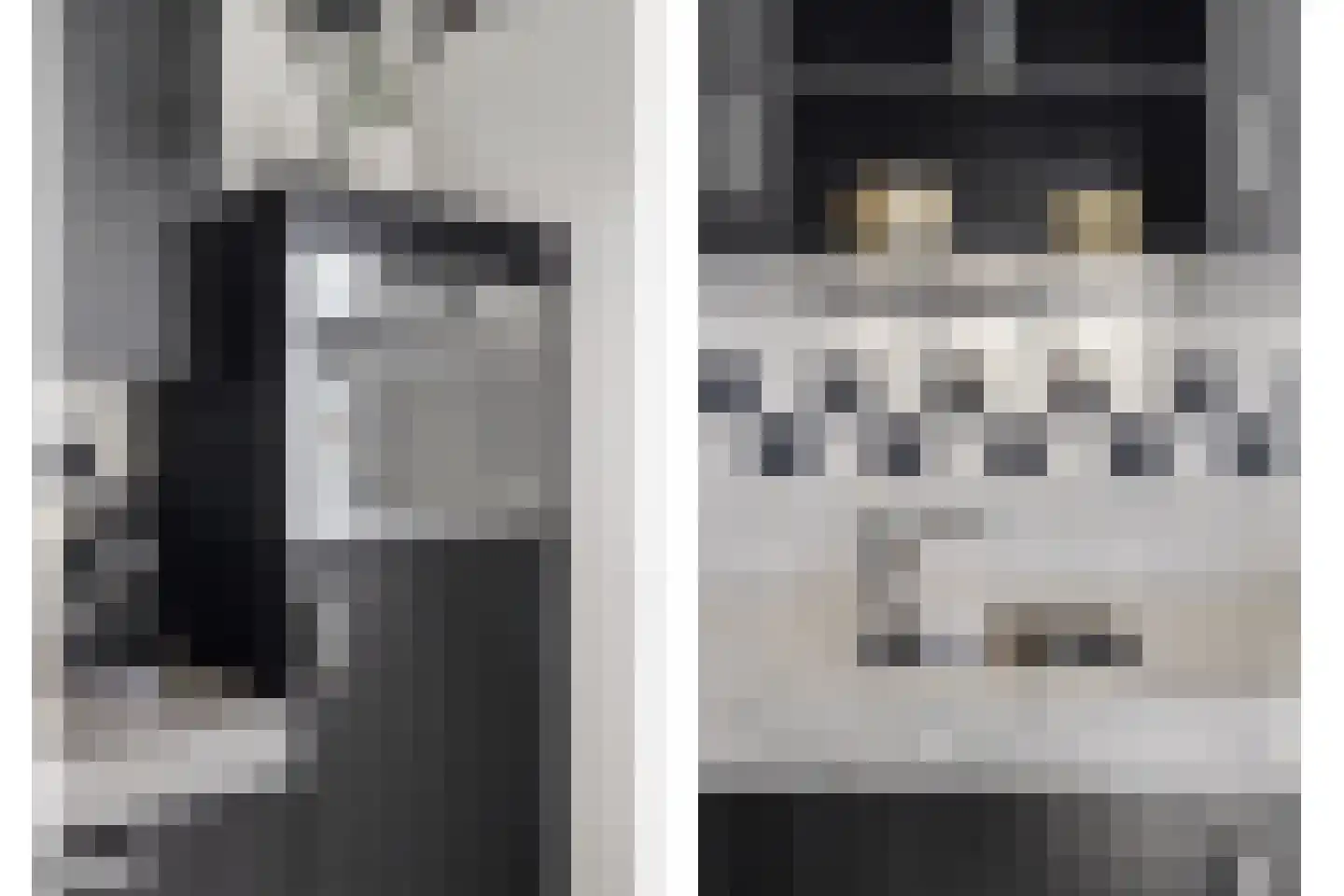 Van Tuijlhof 8 Duizel thumbnail 17