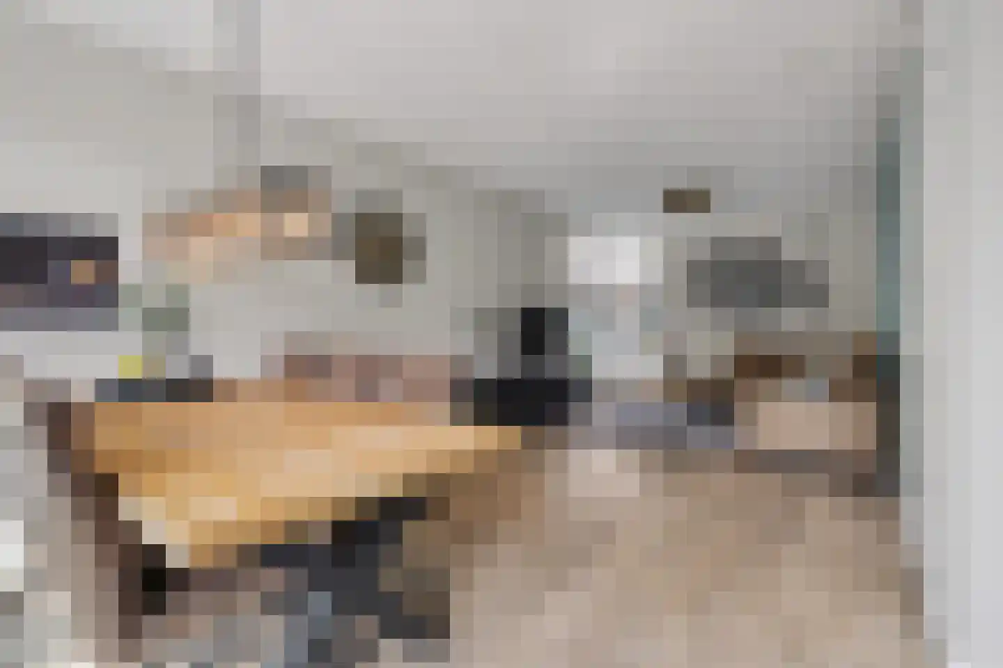 Van Tuijlhof 8 Duizel thumbnail 8