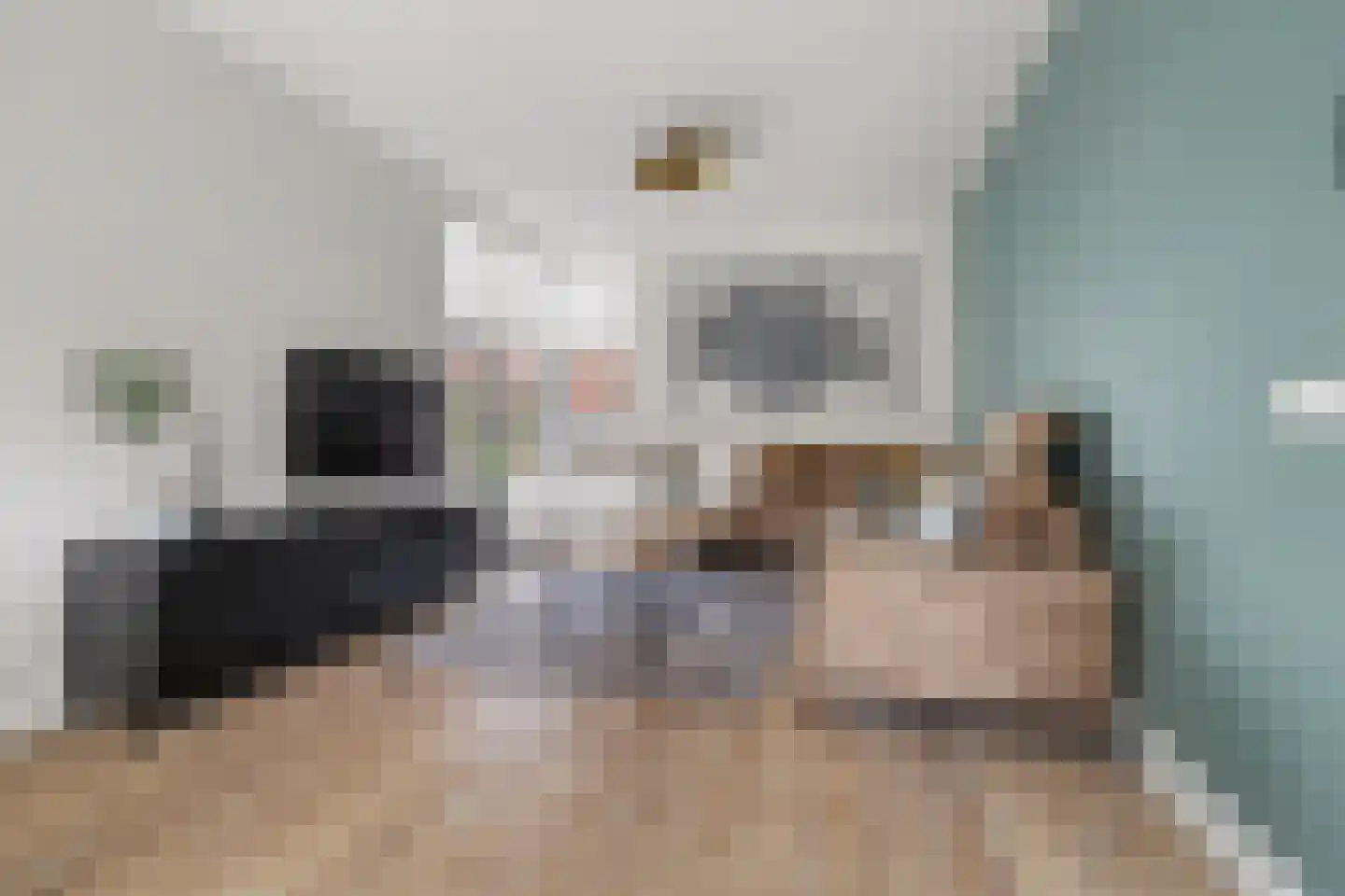 Van Tuijlhof 8 Duizel thumbnail 9