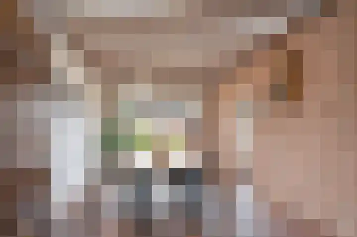 Van Tuijllaan 22 Schijndel thumbnail 10