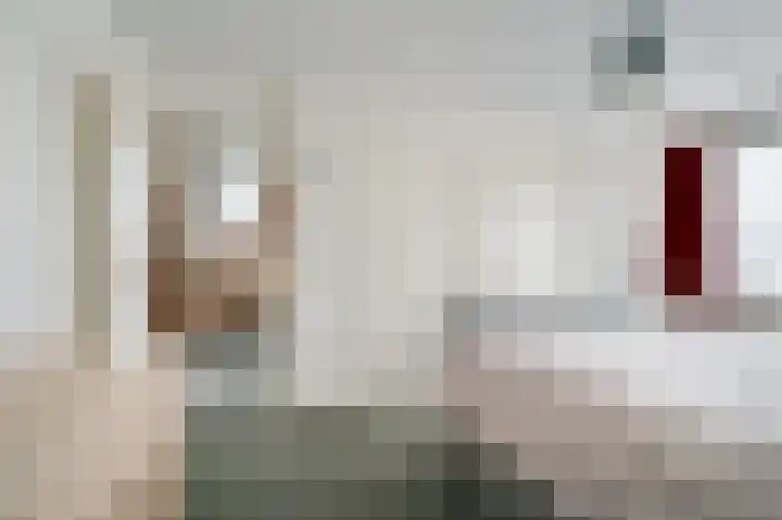 Van Tuijllaan 22 Schijndel thumbnail 18