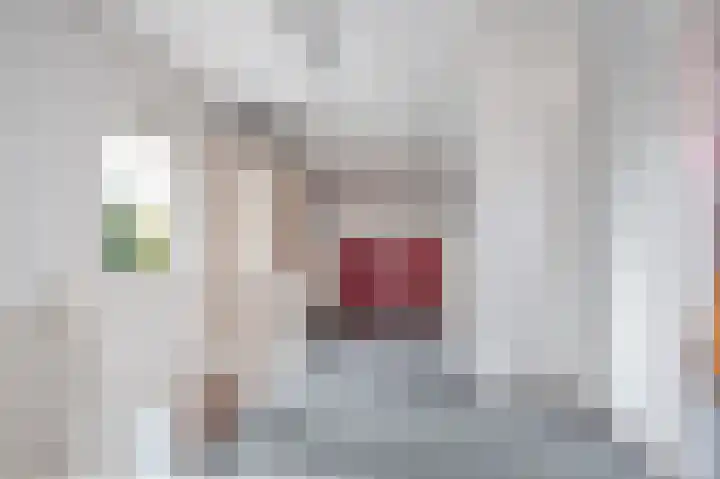 Van Tuijllaan 22 Schijndel thumbnail 27