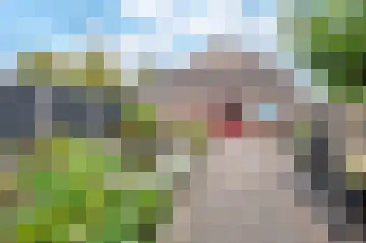 Van Tuijllaan 22 Schijndel thumbnail 31