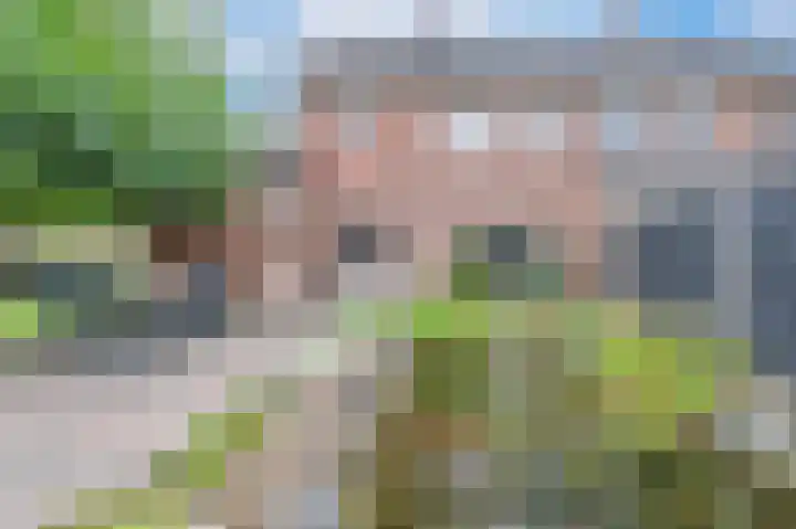 Van Tuijllaan 22 Schijndel thumbnail 35