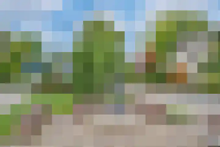 Van Tuijllaan 22 Schijndel thumbnail 39