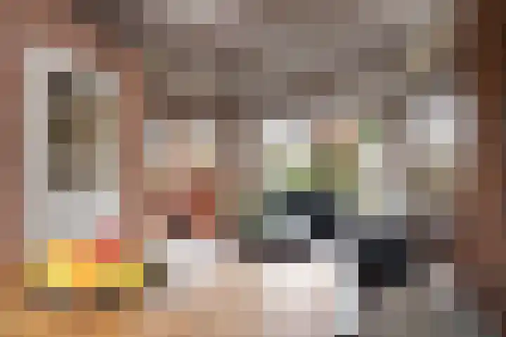 Van Tuijllaan 22 Schijndel thumbnail 5
