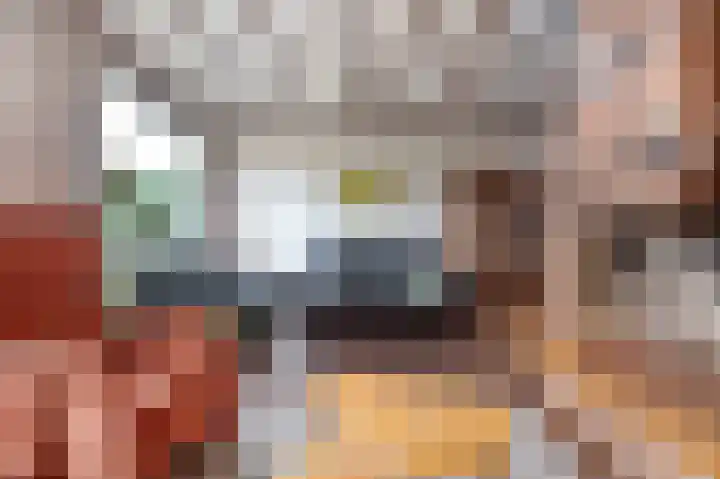 Van Tuijllaan 22 Schijndel thumbnail 8