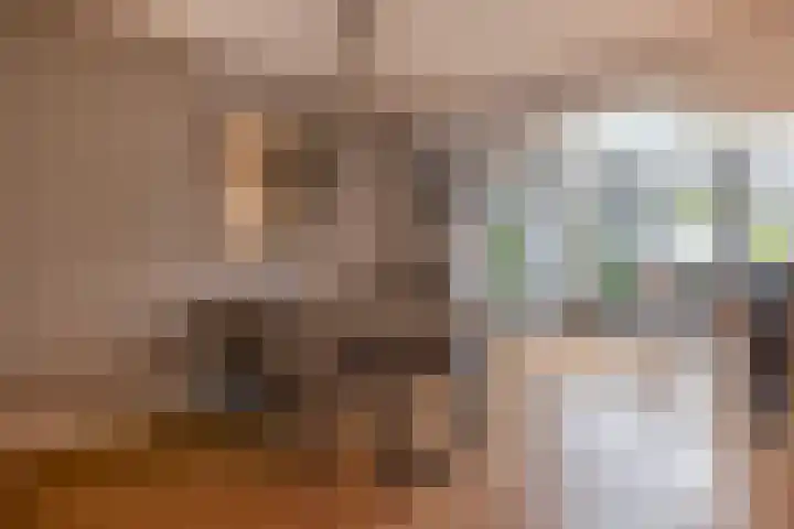 Van Tuijllaan 41 Schijndel thumbnail 10