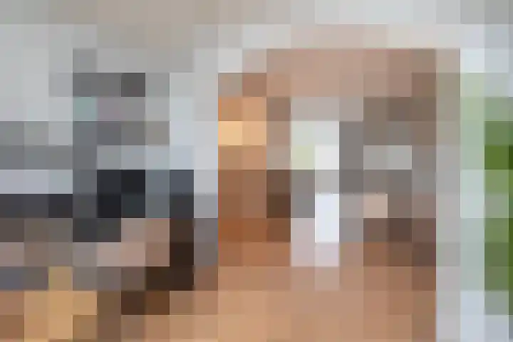 Van Tuijllaan 41 Schijndel thumbnail 11