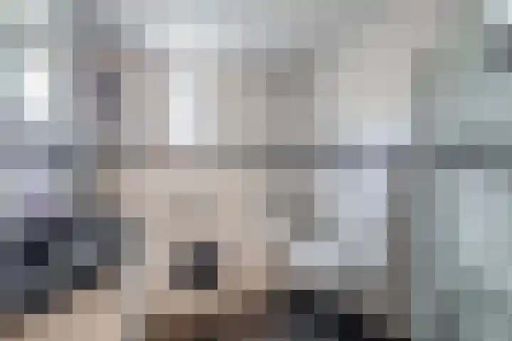 Van Tuijllaan 41 Schijndel thumbnail 23
