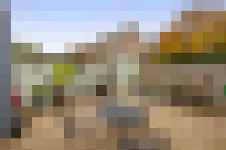 Van Tuijllaan 41 Schijndel thumbnail 28