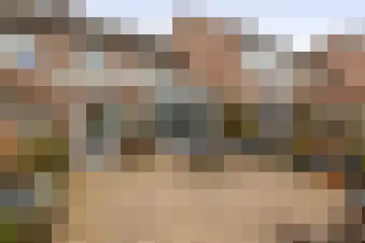 Van Tuijllaan 41 Schijndel thumbnail 30