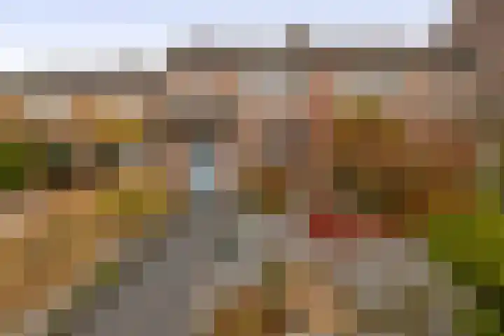 Van Tuijllaan 41 Schijndel thumbnail 31