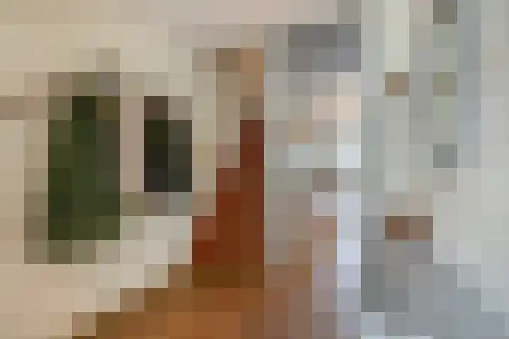 Van Tuijllaan 41 Schijndel thumbnail 5