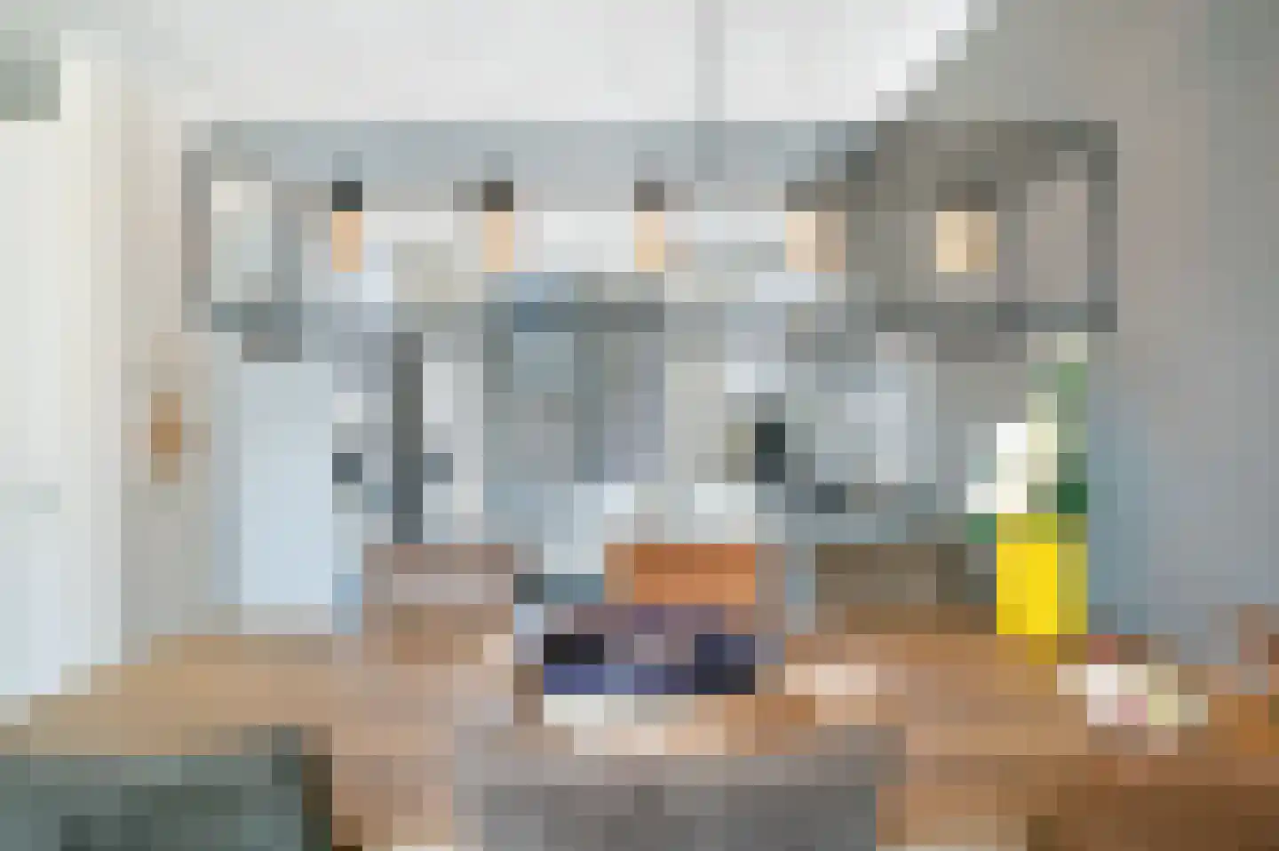 Van Tuijllaan 64 Schijndel thumbnail 7