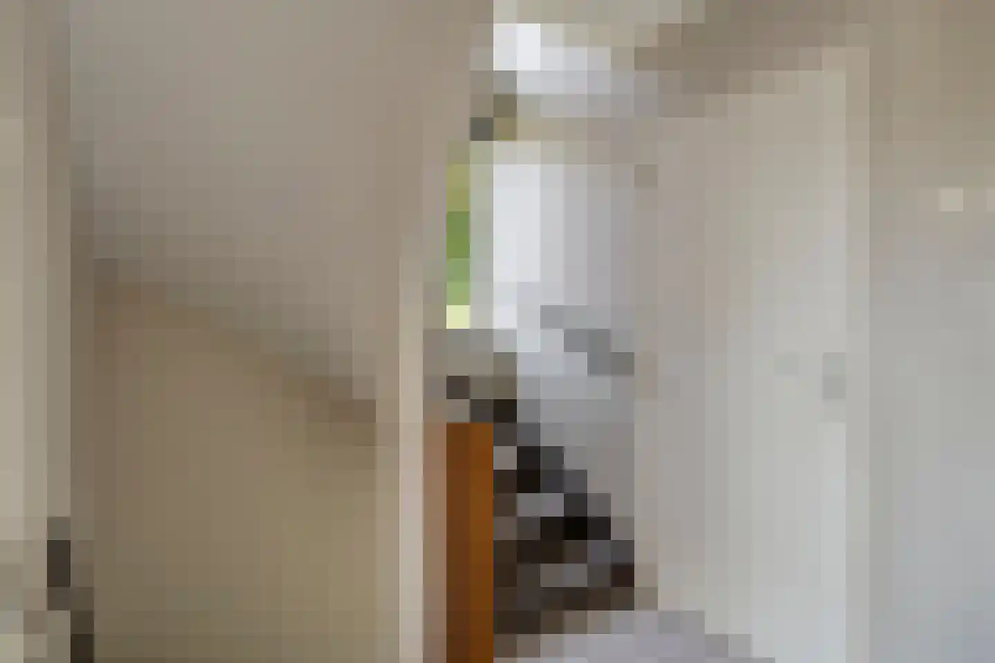 van Tuldenstraat 1 Oirschot thumbnail 15