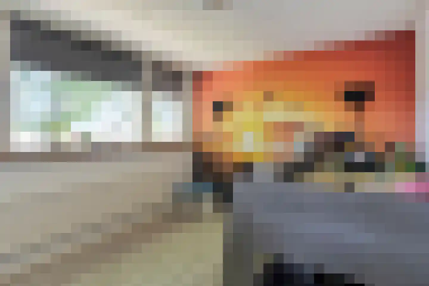 van Tuldenstraat 1 Oirschot thumbnail 20
