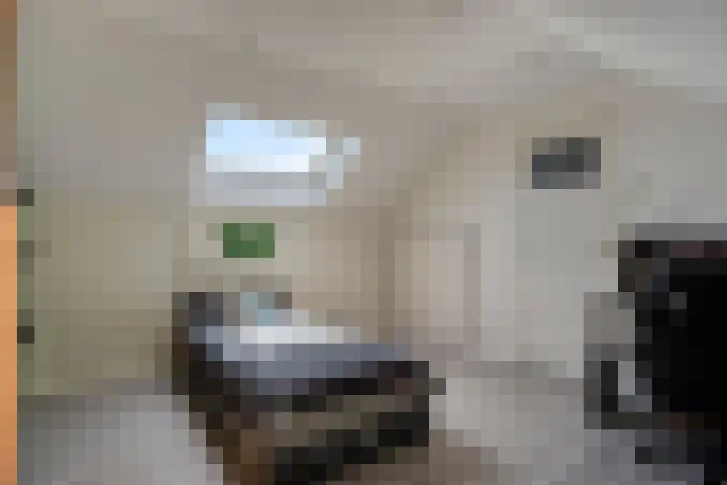 van Tuldenstraat 1 Oirschot thumbnail 27