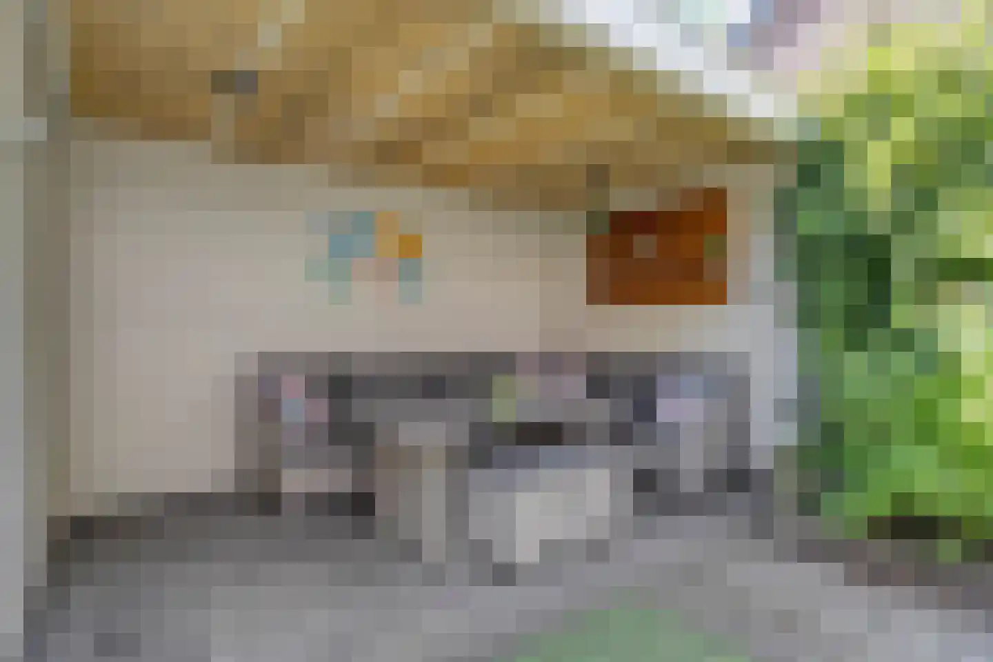 van Tuldenstraat 1 Oirschot thumbnail 33