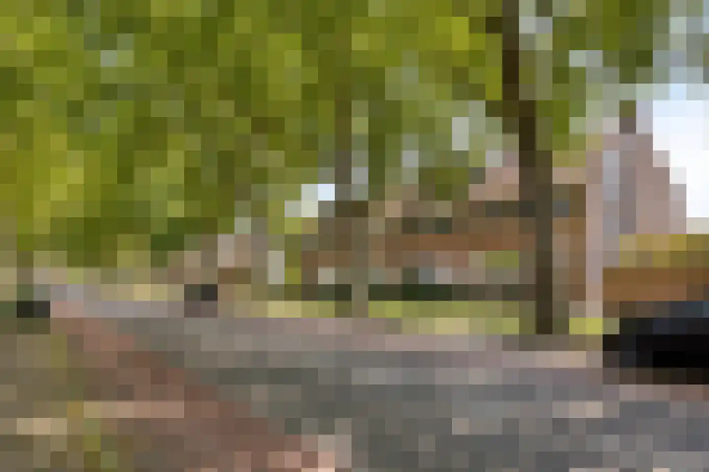 van Tuldenstraat 1 Oirschot thumbnail 36