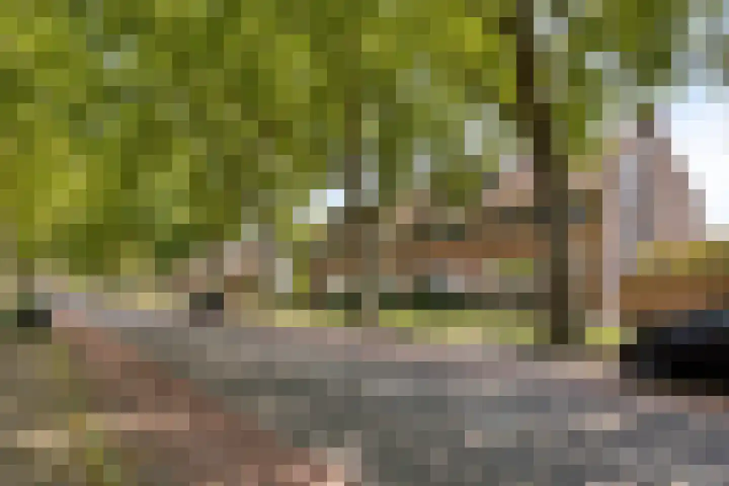 van Tuldenstraat 1 Oirschot thumbnail 6