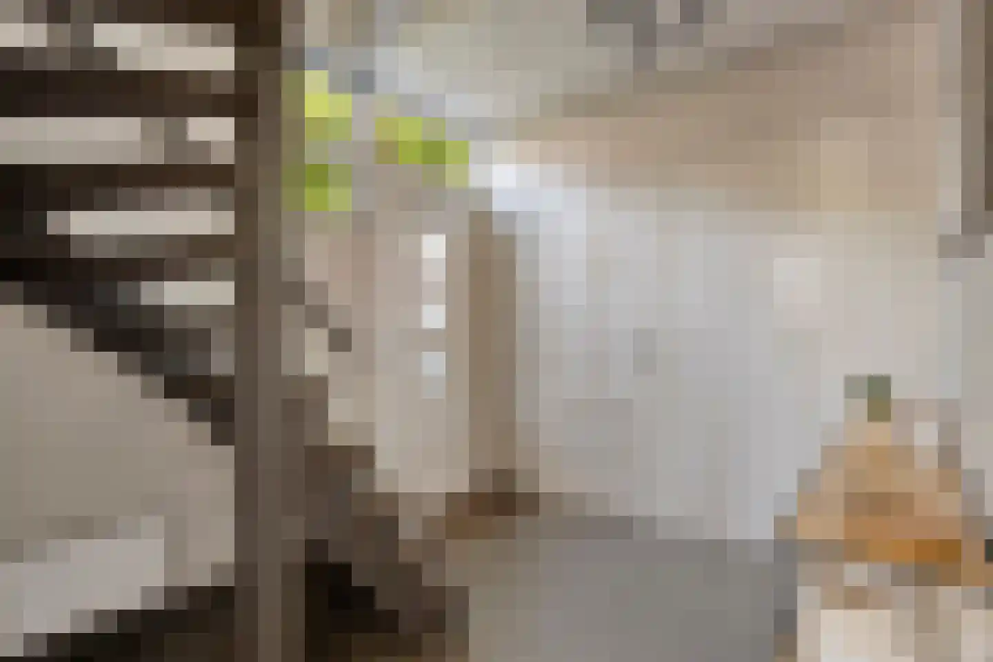 van Tuldenstraat 1 Oirschot thumbnail 7