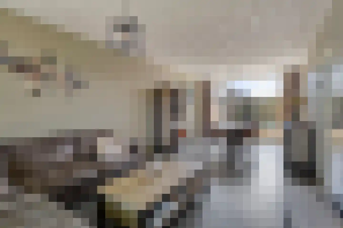 van Tuldenstraat 1 Oirschot thumbnail 9