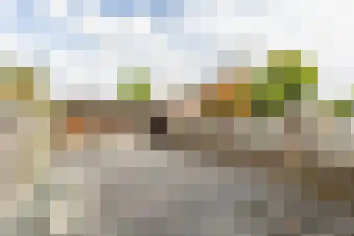 van Tuldenstraat 10 Oirschot thumbnail 25