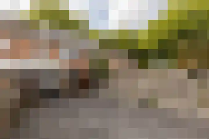 van Tuldenstraat 10 Oirschot thumbnail 26